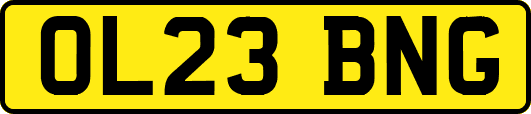 OL23BNG