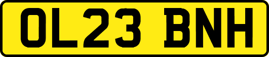 OL23BNH