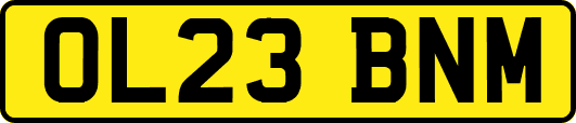 OL23BNM
