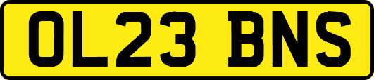 OL23BNS