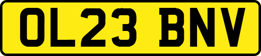 OL23BNV