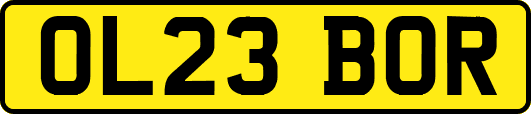 OL23BOR