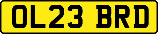 OL23BRD