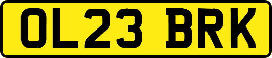OL23BRK