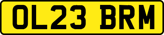 OL23BRM