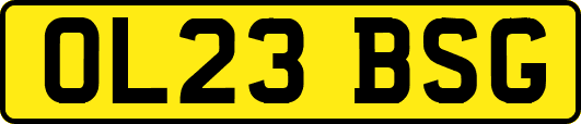 OL23BSG