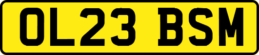OL23BSM
