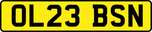 OL23BSN