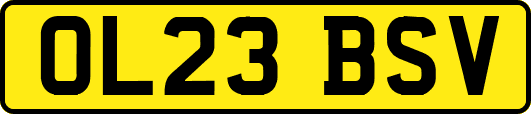 OL23BSV