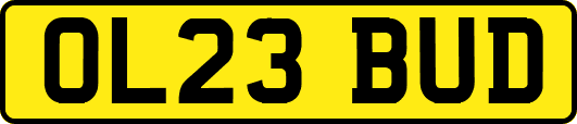 OL23BUD