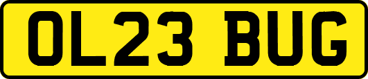 OL23BUG