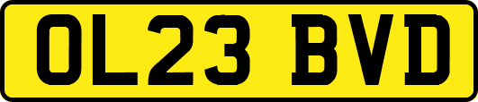 OL23BVD