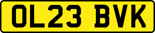 OL23BVK