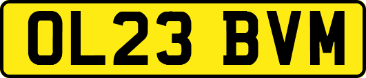 OL23BVM