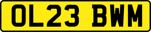 OL23BWM
