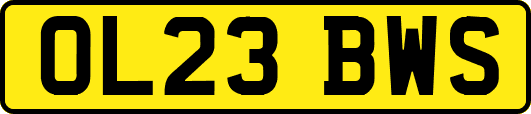 OL23BWS