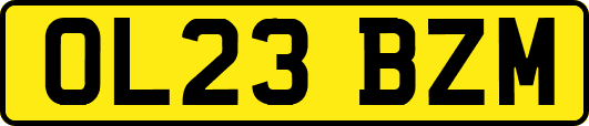 OL23BZM