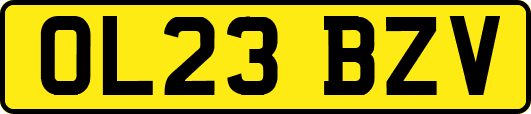 OL23BZV