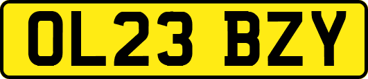OL23BZY
