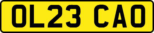 OL23CAO
