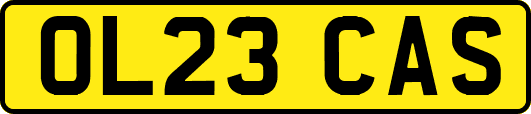 OL23CAS