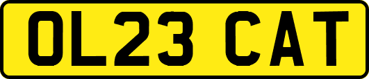 OL23CAT