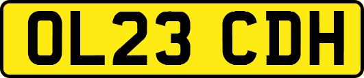 OL23CDH