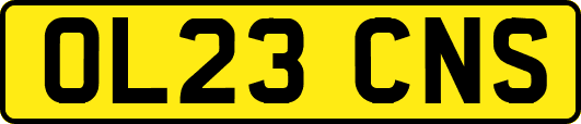 OL23CNS