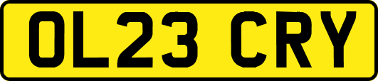 OL23CRY