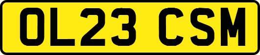 OL23CSM