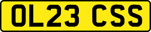OL23CSS