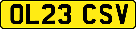 OL23CSV