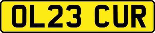 OL23CUR