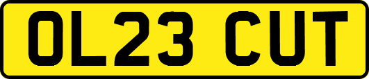 OL23CUT