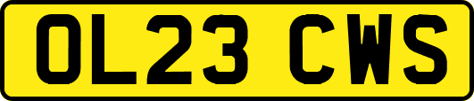OL23CWS