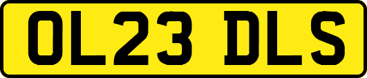 OL23DLS