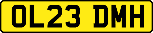 OL23DMH