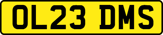 OL23DMS