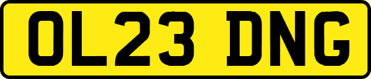 OL23DNG