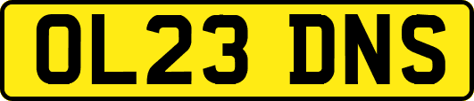 OL23DNS
