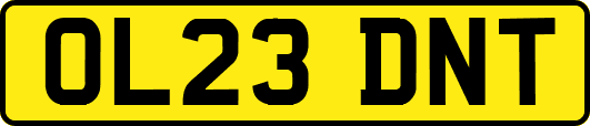 OL23DNT