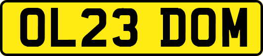 OL23DOM
