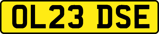 OL23DSE