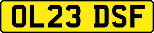 OL23DSF