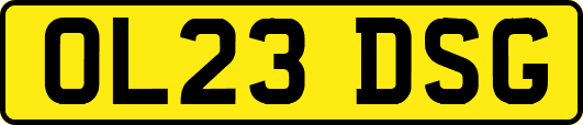 OL23DSG