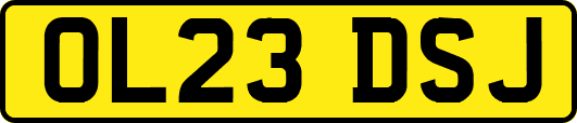 OL23DSJ