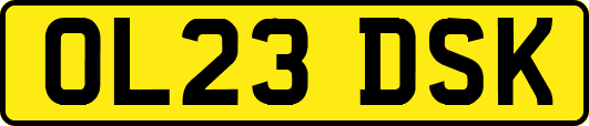 OL23DSK