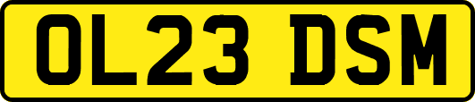OL23DSM