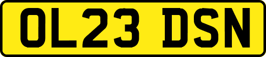 OL23DSN