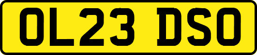 OL23DSO